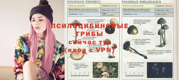 мдма Нея