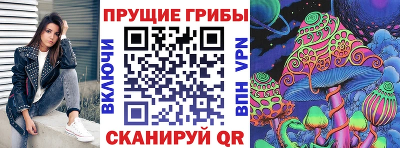 KRAKEN ТОР  Пикалёво  Псилоцибиновые грибы мицелий  наркота 